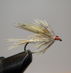 ���� ������ Wet fly 